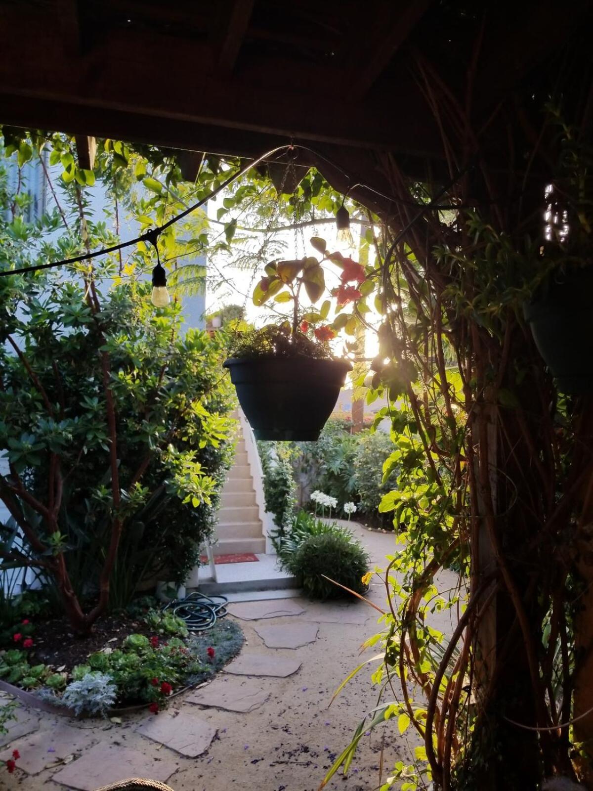 Peaceful Upstairs Oasis Appartamento Los Angeles