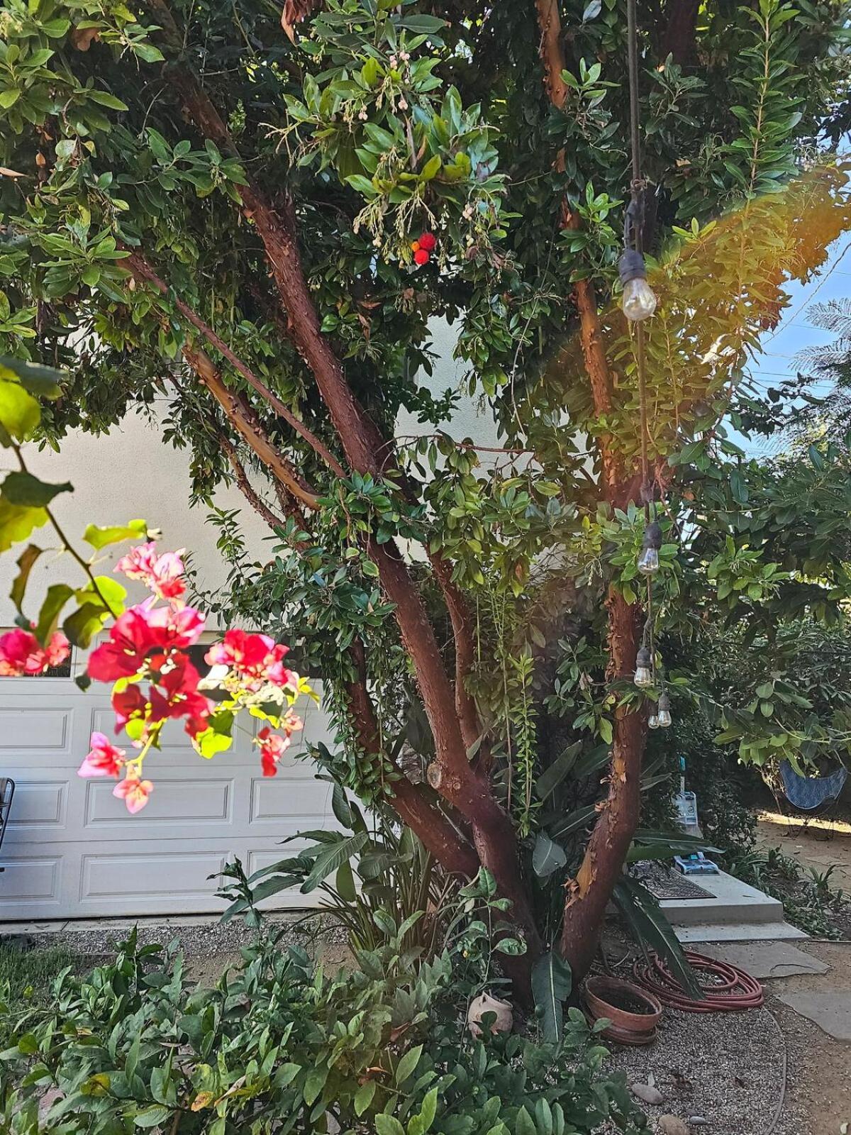 Appartamento Peaceful Upstairs Oasis Los Angeles